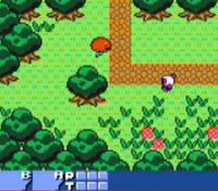 Bomberman Quest sur Nintendo Game Boy Color